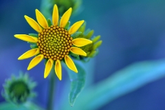 n09_00000009